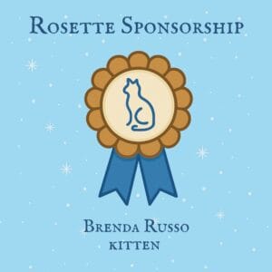 Kitten Rosettes - Brenda Russo